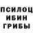 Псилоцибиновые грибы GOLDEN TEACHER Michael Erzen