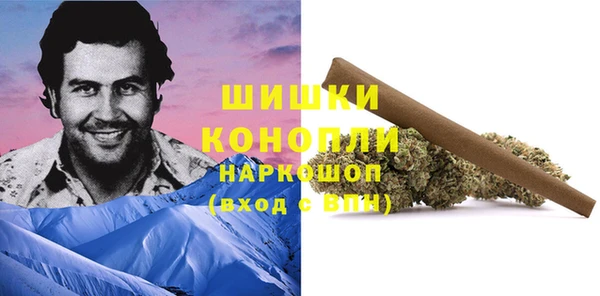 марки nbome Белокуриха